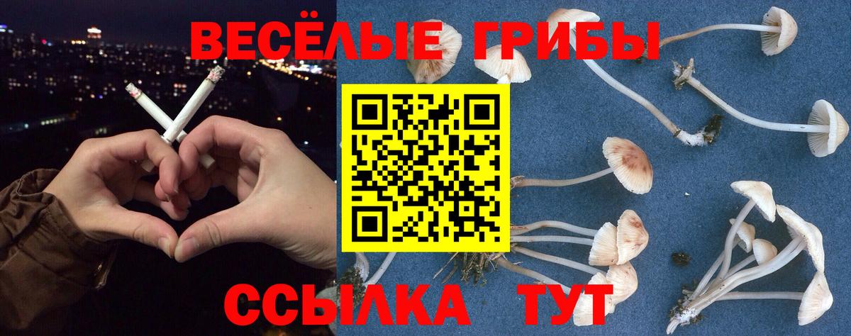 Галлюциногенные грибы Psilocybine cubensis  Вход с VPN  сколько стоит  Серов 